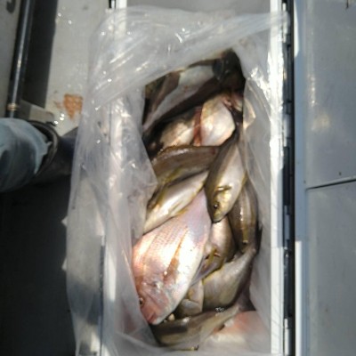 IMG_7064.jpeg