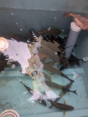 IMG_6365_C09D5740.jpeg