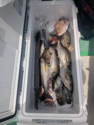 IMG_6780_72877E0B.jpeg