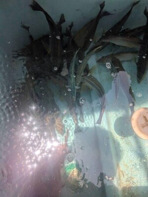 IMG_6818_B55FA11C.jpeg