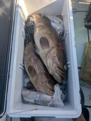 IMG_7043_8869A9ED.jpeg