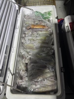 IMG_0289_83EB6FF4.jpeg