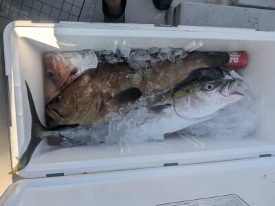 IMG_0312_16C1F1E2.jpeg