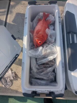 IMG_0364_BC8CD345.jpeg