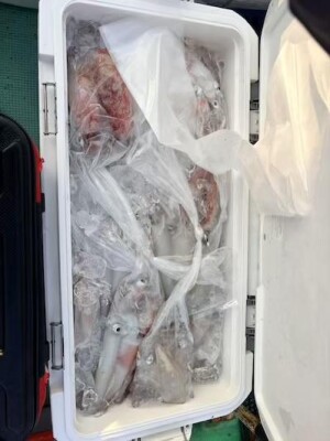 IMG_0494_DF23081E.jpeg