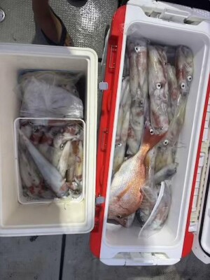 IMG_0499_5785A8C5.jpeg
