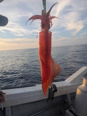 IMG_7267_99DCECF9.jpeg