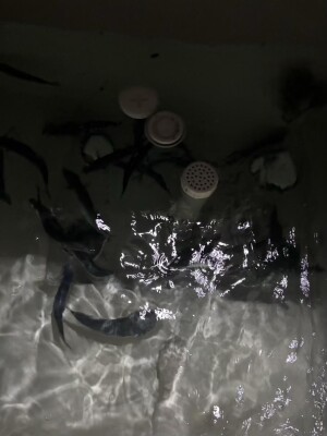 IMG_1281_B6528201.jpeg