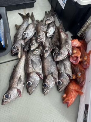 IMG_1408_95CCD739.jpeg