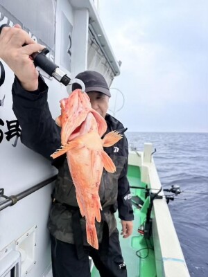 IMG_1493_3D937C95.jpeg