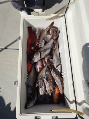 IMG_1862_1222B055.jpeg