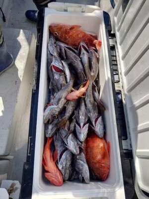 IMG_2170_84A363D4.jpeg