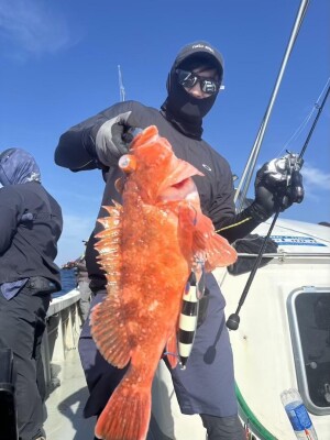 IMG_2266_5E3CDBF3.jpeg